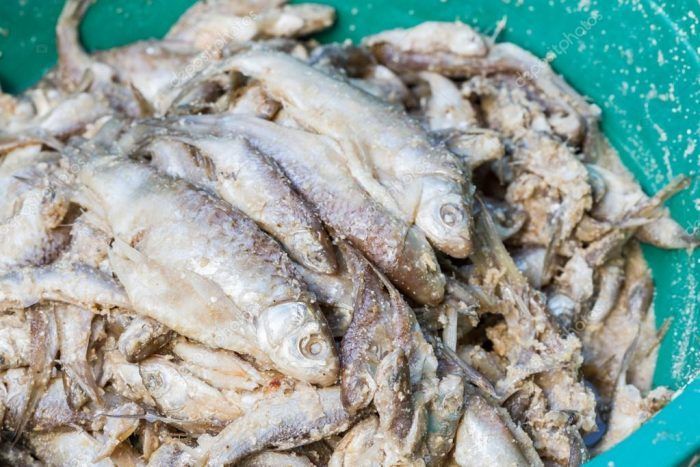 Bekasam ikan