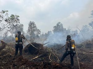 Riau Zero Karhutla, Satgas Tetap Siaga Cegah Api Kembali Muncul
