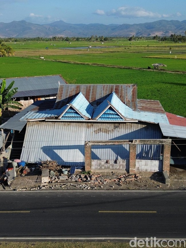 Hari Kedelapan, 53.971 Rumah Rusak Akibat Gempa NTT