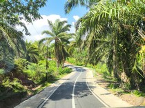 Gubernur Bengkulu Kucurkan Rp 587 Miliar untuk Perbaiki Jalan Provinsi