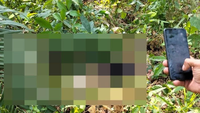 Jasad korban ditemukan di area kebun sawit Muba