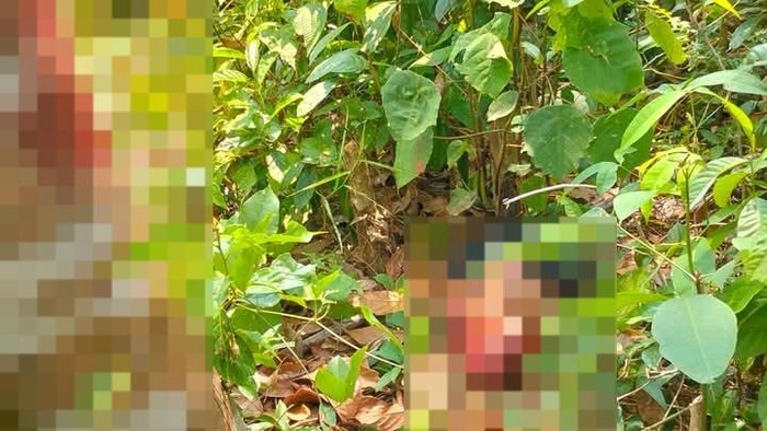 Jasad pria ditemukan dalam kondisi termutilasi di Muba