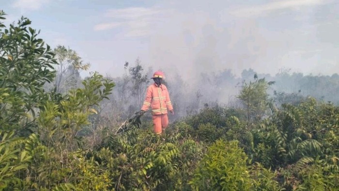 Karhutla di Penajam Paser Utara