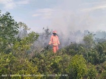 Karhutla Terjadi di Wilayah IKN, tapi di Luar Kawasan Inti Pemerintahan