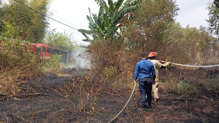 Kebakaran lahan di Bandar Lampung