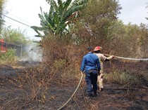 3 Lahan Terbakar di Bandar Lampung Sehari, Damkar: Diduga Bakar Sampah