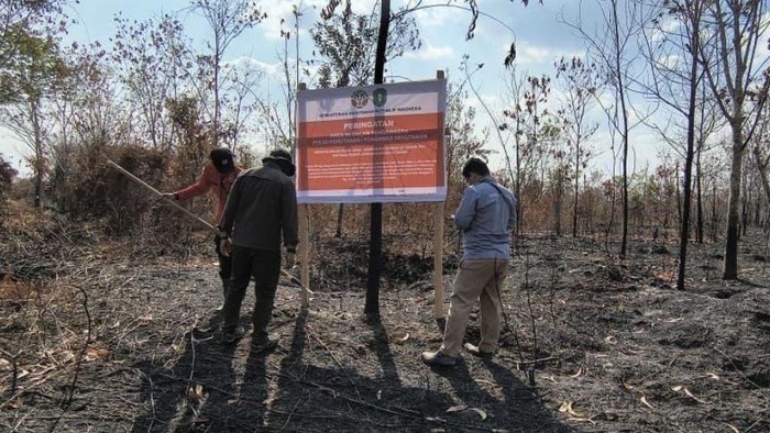 Kemenhut beri sanksi 4 perusahaan di Kalbar terkait karhutla. (Dok Kemenhut)
