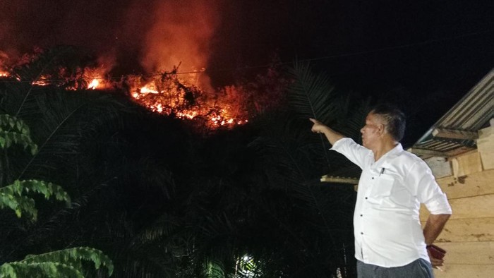 Penampakan Karhutla di Kabupaten Paluta (Foto: Dok BPBD Sumut)