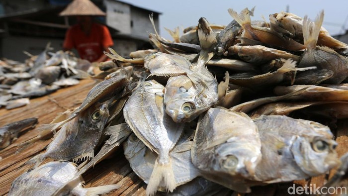 Pekerja membalik ikan yang sedang dijemur di kawasan produksi ikan asin Muara Angke, Jakarta Utara, Selasa (25/8/2026).