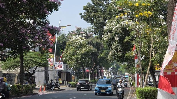 Tabebuya berkemaran di Kemang. Jadi spot forto warga, Selasa (25/8/2026).