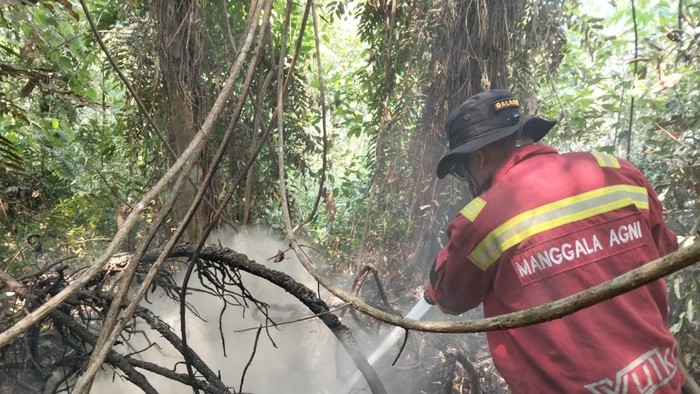 Tim Manggala Agni lakukan upaya pemadaman kebakaran lahan gambut di Tanjabtim, Jambi