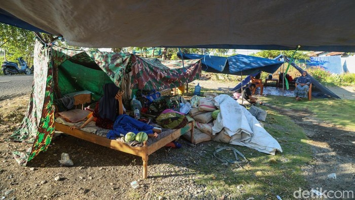 Trauma Gempa, Warga Nagekeo NTT Pilih Tidur di Tenda Tati mencoba menidurkan anaknya menggunakan kelambu di tenda darurat yang dibuatnya di halaman rumah Nagekeo, Nusa Tenggara Timur, Senin (24/8/2026).