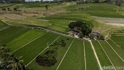 Uniknya Karya Pari Corek Bergambar Sang Buddha