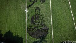 Uniknya Karya Pari Corek Bergambar Sang Buddha