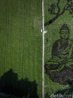 Uniknya Karya Pari Corek Bergambar Sang Buddha