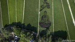 Uniknya Karya Pari Corek Bergambar Sang Buddha