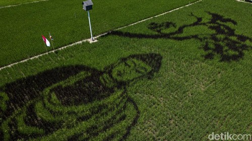 Foto udara karya seni pari corek bergambar Sang Buddha karya seniman Sidik Gunawan di area persawahan Dusun Sidorejo, Bergas Lor, Kabupaten Semarang, Jawa Tengah, Selasa (25/8/2026). Karya seni yang memadukan seni, pertanian, kearifan lokal, dan nilai spiritual dalam semangat ecodharma tersebut dibuat untuk memperingati Hari Raya Asadha 2570 BE. ANTARA FOTO/Aprillio Akbar/kye