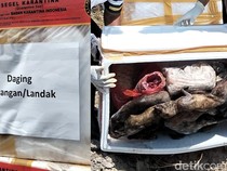 Modus Pria Angkut 538 Kg Daging Satwa Tanpa Dokumen, Ngaku Bawa Ikan Asin