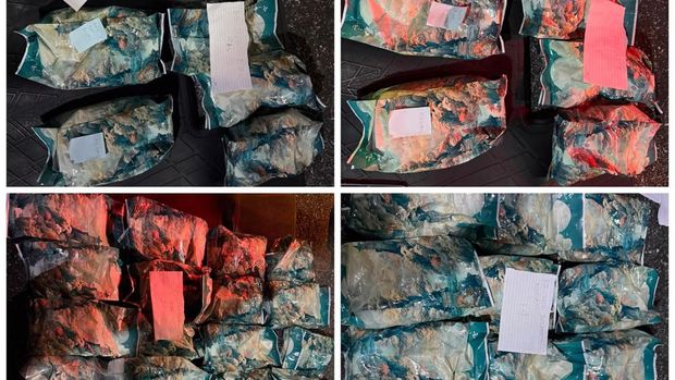 Bareskrim Polri menangkap kurir penyelundup 43 kilogram sabu di Pekanbaru, Riau, Sabtu (22/8/2026).