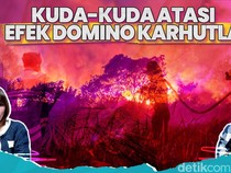 Menakar Efek Domino Karhutla