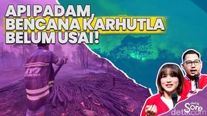 Video: Ahli Forensik Lingkungan Bicara Efek Domino Karhutla