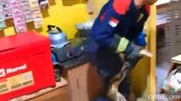 Saat ini ular tersebut sudah dieakuasi kelokasi yang aman dan tidak menganggu.