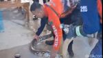 Bikin Geger! Piton 5 Meter Masuk Warung Kopi di Pasuruan