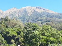 Jalur Pendakian Merbabu Via Thekelan Ditutup Selama September 2026