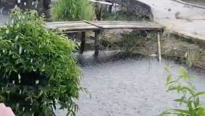 Hujan turun membasai Kabupaten Pelalawan, Riau, pada Rabu (26/8/2026).