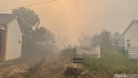 Ini yang Terjadi Pada Tubuh Jika Menghirup Asap Karhutla, Efeknya ke Paru sampai Jantung
