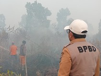 Karhutla di Riau Meluas, Habitat Harimau di Suaka Margasatwa Kerumutan Hangus