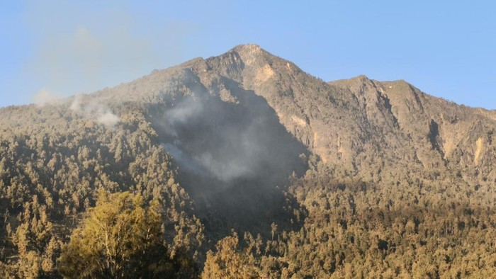 Penampakan asap yang masih mengepul di hutan Gunung Arjuno