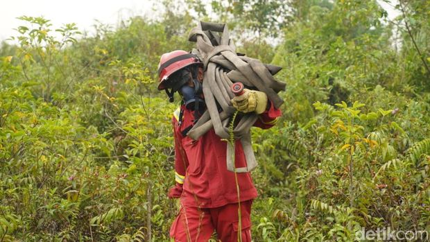 Kisah Budiono, Kepala Regu 1 Manggala Agni Daops Kalimantan VIII Pontianak, rela tinggalkan keluarga demi padamkan karhutla. (Ocsya Ade CP) Kisah Budiono, Kepala Regu 1 Manggala Agni Daops Kalimantan VIII Pontianak, rela tinggalkan keluarga demi padamkan karhutla. (Ocsya Ade CP)