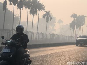 Cara Mengecek Kualitas Udara Hari Ini, Bisa Lewat HP dan Google Maps