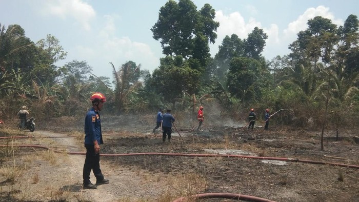 Lahan di Lamsel terbakar diduga akibat kelalaian warga. yang bakar sampah.