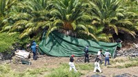 Geger Skandal Orang Hilang di Jeju, 4 Polisi Senior Dicopot