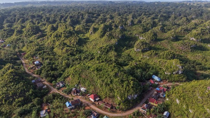 Juru pelihara Ajuk menunjukkan gambar cadas berupa cap tangan yang diperkirakan berusia sedikitnya 67.800 tahun di Gua Metanduno, kawasan Cagar Budaya Liangkabori, Desa Liang Kabori, Kecamatan Lohia, Kabupaten Muna, Sulawesi Tenggara.