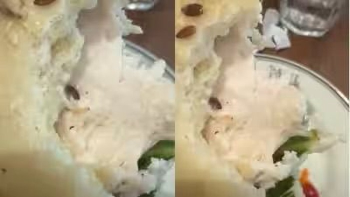 Ngeri! Pelanggan Ini Temukan Cacing di Pesanan Sandwich Resto Ternama