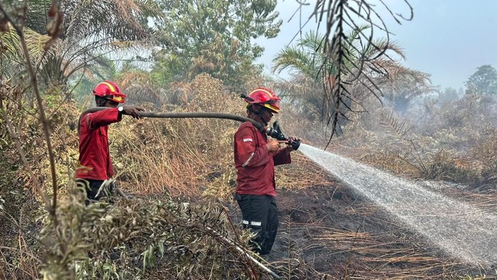Proses pemadaman karhutla di wilayah Riau