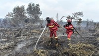 3,4 Juta Warga Terdampak Asap Karhutla, Kasus ISPA Naik Tajam di Kalimantan