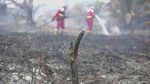 Manggala Agni Padamkan Karhutla di Lahan Gambut Jambi