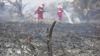 BRIN Uji Teknologi Berbasis Pati Singkong Bantu Padamkan Karhutla