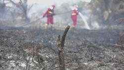 Pemprov Usul 14 Sumur Bor Cegah Karhutla Meluas di Lahan Gambut Jambi