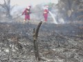 BRIN Uji Teknologi Berbasis Pati Singkong Bantu Padamkan Karhutla