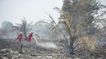 Manggala Agni Padamkan Karhutla di Lahan Gambut Jambi
