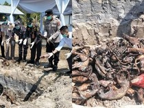 538 Kg Daging Tanpa Dokumen Dimusnahkan, Ada Garangan hingga Landak