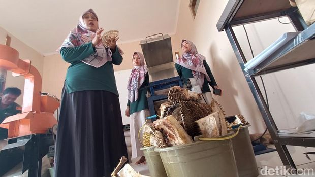 Pengolahan Limbah Durian di Alasmalang Banyumas Warga Alasmalang, Banyumas olah kulit dan biji durian menjadi olahan makanan, Rabu (26/8/2026)