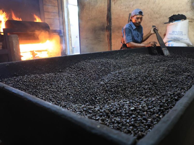 Mengintip Produksi dan Pengolahan Biji Kopi Secara Tradisional