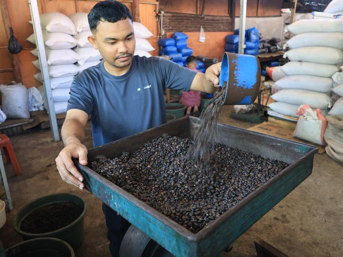 Pekerja mendinginkan biji kopi robusta setelah proses penyangraian di salah satu tempat produksi kopi tradisional Desa Lueng Ie, Krueng Barona Jaya, Aceh Besar, Aceh, Rabu (26/8/2026). Pelaku usaha mengaku dalam sehari mampu memproduksi dan mengolah biji kopi robusta secara manual atau tradisional sebanyak 200 kg yang kemudian dikirim ke berbagai daerah dan Provinsi di Aceh, Sumatera Utara dan Pulau Jawa dengan harga jual berkisar Rp90.000 hingga Rp160.000 per kg tergantung kualitas biji dan bubuk kopi. ANTARA FOTO/Syifa Yulinnas/nz.