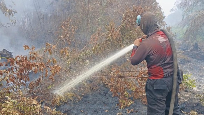 Proses pemadaman karhutla di Kerumutan, Pelalawan, Riau.